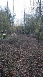 traction animale 9.6.jpg