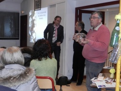 frelons asiatique 9.jpg