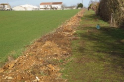 07-02-2019 plantation de la haie fruitièe(2).jpg