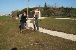 07-02-2019 plantation de la haie fruitièe(6).jpg