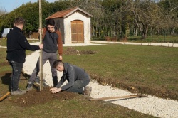 07-02-2019 plantation de la haie fruitièe(7).jpg