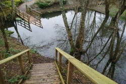 Charente déborde janvier 2013 (12).JPG