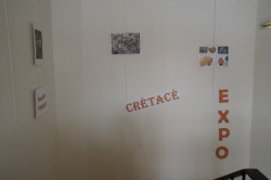 Expo crétacé février 2019 (12).jpg