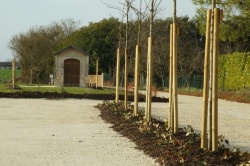 square de la gare le 2 mars 2019 (3).JPG