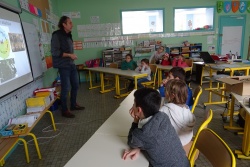 animation frelons 2.jpg