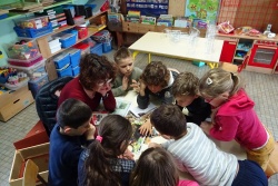 animation frelons 10.jpg