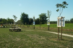 13 septembre 2019 expo les fleurs sauvages des rues (1).JPG