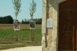 13 septembre 2019 expo les fleurs sauvages des rues (11).JPG