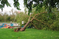 La tempête Amélie