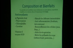 conférence spiruline 8 novembre 2019 (4).JPG