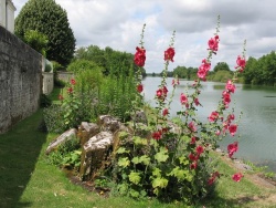 chemin de halage .jpg