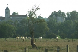 Dans la plaine de St Saturnin.jpg