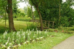 le jardin du pré valade 2.JPG