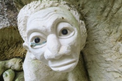 les lapidiales en têtes 4 mai 2020 (6).JPG