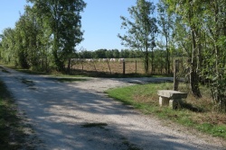 sur la Flow vélo dans la plaine le 25 août 20 (8).JPG