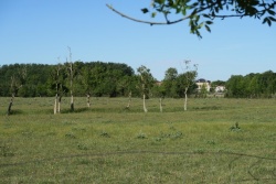 sur la Flow vélo dans la plaine le 25 août 20 (13).JPG