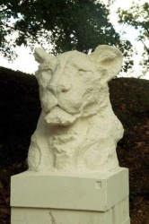 Jurgen Lingl Rebetezi pour l'hôpital de La Rochelle