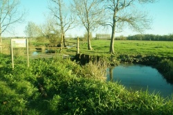 21 novembre 2020 (5).JPG