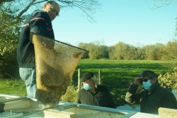 21 novembre 2020 (8).JPG