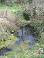 La Raudière.jpg