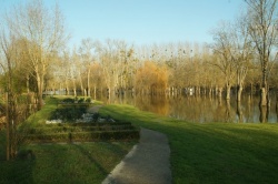 La Charente en janvier 2021 (6).JPG