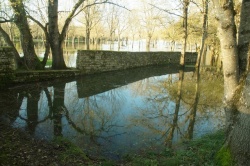 La Charente en janvier 2021 (13).JPG