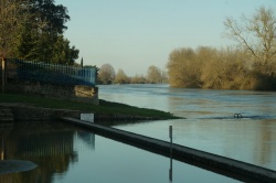 La Charente en janvier 2021 (15).JPG