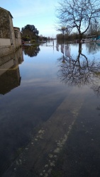 le port fevrier 2021 3.jpg