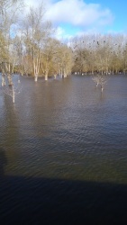 le port fevrier 2021 9.jpg