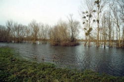 14 février 2021 (1).JPG