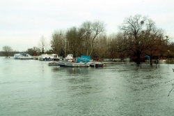 14 février 2021 (11).JPG