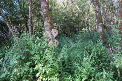 20 août 21 passerelle de la Flow Vélo entre Port à Clou et Les Vinets (11).JPG