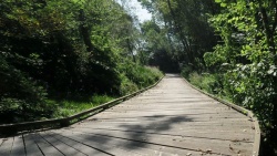 20 août 21 passerelle de la Flow Vélo entre Port à Clou et Les Vinets (15).JPG