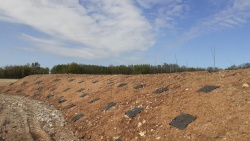 14 avril 2022 (3).jpg