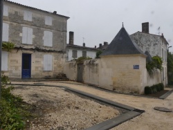 début octobre 2022 (4).jpg