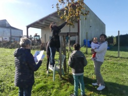 Un arbre, un enfant 19 novembre (8).JPG