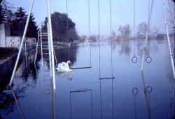 La baignade.jpg