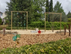 Jardin du pré Valade été 2023 (4).JPG