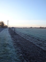 plantation haie 20 janvier 2024 (4).JPG