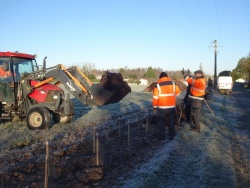 plantation haie 20 janvier 2024 (7).JPG