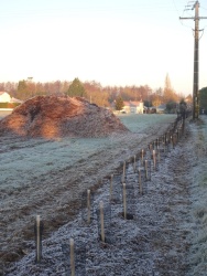 plantation haie 20 janvier 2024 (13).JPG