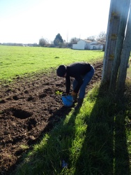 plantation haie 20 janvier 2024 (16).JPG