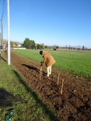 plantation haie 20 janvier 2024 (18).JPG