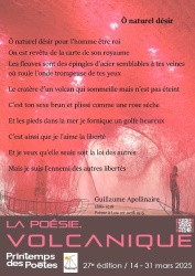 6 - guillaume apollinaire.jpg