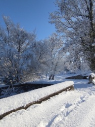 il a neigé à Port d'Envaux début janvier 2026 (22).jpg
