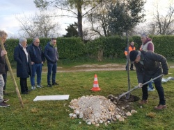 Un chêne vert en mémoire de Jeannick (5).jpg