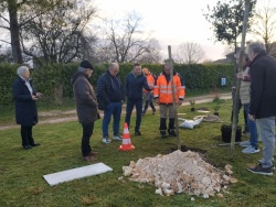 Un chêne vert en mémoire de Jeannick (6).jpg