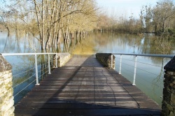 Charente fév 2014 (12).JPG