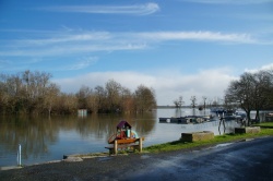 Charente fév 2014 (4).JPG