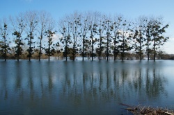 16 fév 2014 la charente au Nord (9).JPG